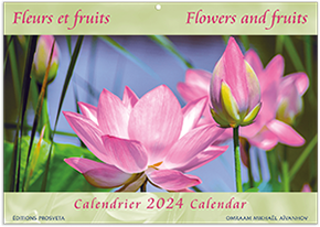 Flowers and Fruits - Calendar 2024