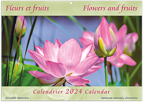 Fleurs et fruits 